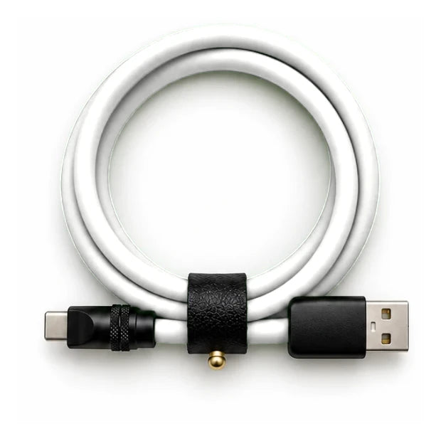 Bright White USB-C to USB-A cable — generated colour illustration