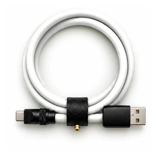 Bright White USB-C to USB-A cable — generated colour illustration
